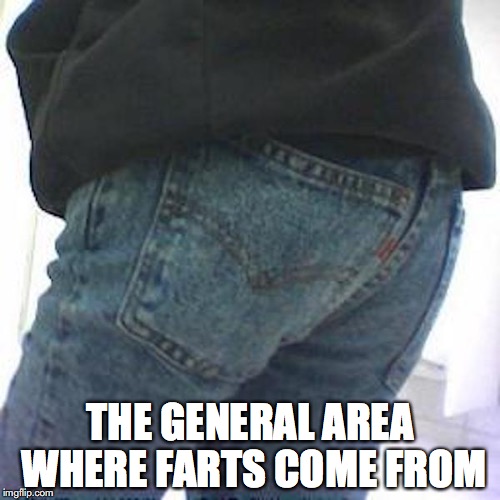 Butt in Jeans | THE GENERAL AREA WHERE FARTS COME FROM | image tagged in jeans,butt,memes | made w/ Imgflip meme maker