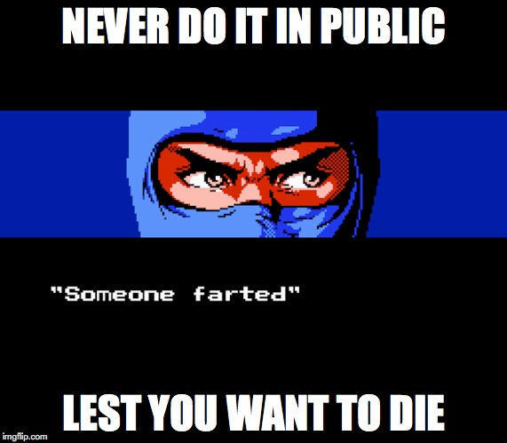 "Who's There?" | NEVER DO IT IN PUBLIC; LEST YOU WANT TO DIE | image tagged in ninja,fart,memes | made w/ Imgflip meme maker