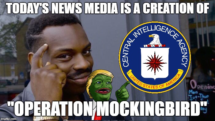 CIA created FAKE NEWS MEDIA | TODAY'S NEWS MEDIA IS A CREATION OF; "OPERATION MOCKINGBIRD" | image tagged in memes,roll safe think about it,fake news,conspiracy | made w/ Imgflip meme maker