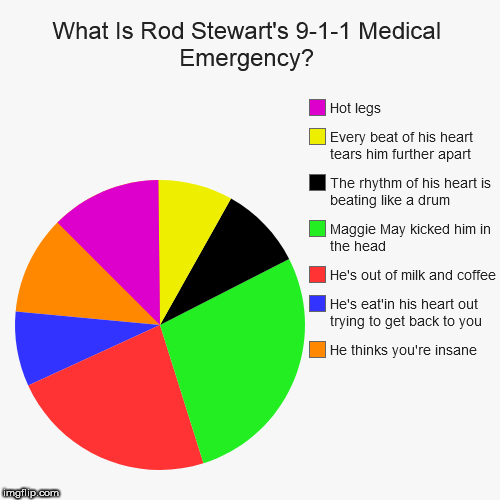 What Is Rod Stewart's 9-1-1 Medical Emergency? | He thinks you're insane, He's eat'in his heart out trying to get back to you, He's out of m | image tagged in funny,pie charts | made w/ Imgflip chart maker