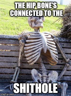 Waiting Skeleton Meme | THE HIP BONE'S CONNECTED TO THE; SHITHOLE | image tagged in memes,waiting skeleton | made w/ Imgflip meme maker