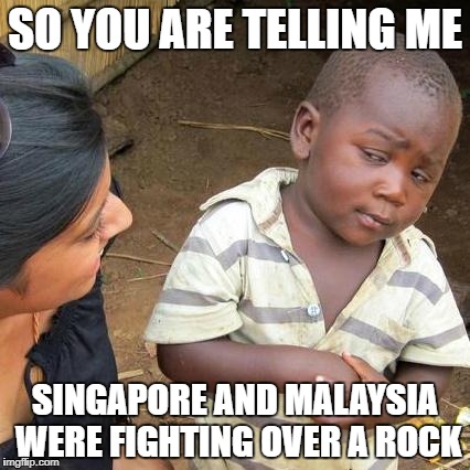 Third World Skeptical Kid Meme | SO YOU ARE TELLING ME; SINGAPORE AND MALAYSIA WERE FIGHTING OVER A ROCK | image tagged in memes,third world skeptical kid | made w/ Imgflip meme maker