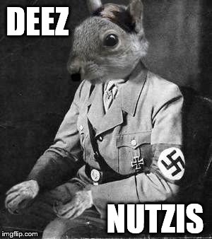 hitler squirrel | DEEZ; NUTZIS | image tagged in hitler squirrel | made w/ Imgflip meme maker