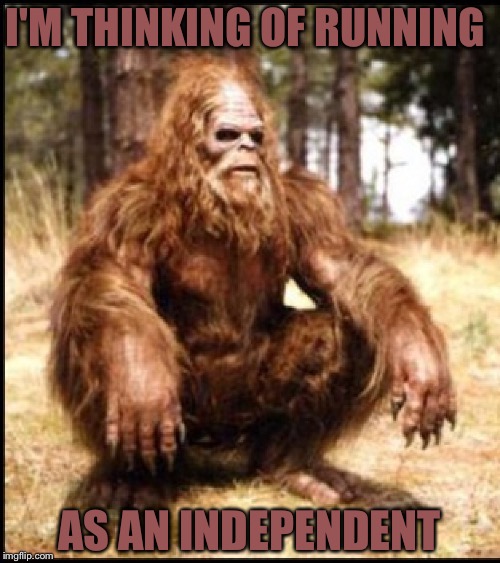 sasquatch squat | I'M THINKING OF RUNNING; AS AN INDEPENDENT | image tagged in sasquatch squat | made w/ Imgflip meme maker