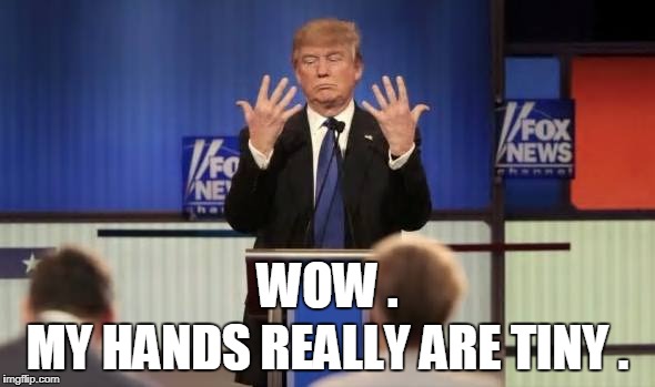 WOW . MY HANDS REALLY ARE TINY . | image tagged in trump | made w/ Imgflip meme maker