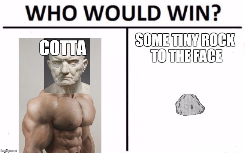 Who Would Win? Meme | COTTA; SOME TINY ROCK TO THE FACE | image tagged in memes,who would win | made w/ Imgflip meme maker
