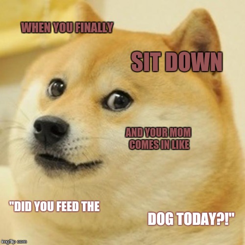 Doge Meme | WHEN YOU FINALLY; SIT DOWN; AND YOUR MOM COMES IN LIKE; "DID YOU FEED THE; DOG TODAY?!" | image tagged in memes,doge | made w/ Imgflip meme maker