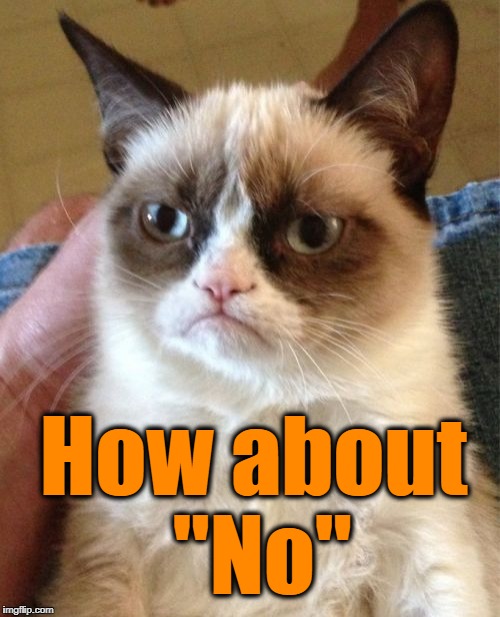 Grumpy Cat Meme | How about "No" | image tagged in memes,grumpy cat | made w/ Imgflip meme maker