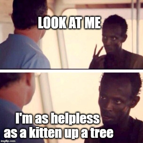 Misty | LOOK AT ME; I'm as helpless as a kitten up a tree | image tagged in memes,captain phillips - i'm the captain now | made w/ Imgflip meme maker