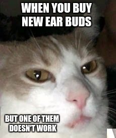 Barry the Cat  | WHEN YOU BUY NEW EAR BUDS; BUT ONE OF THEM DOESN'T WORK | image tagged in barry the cat,ear buds,relatable,cat,meme | made w/ Imgflip meme maker