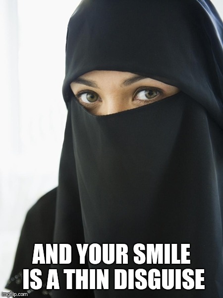 AND YOUR SMILE IS A THIN DISGUISE | made w/ Imgflip meme maker