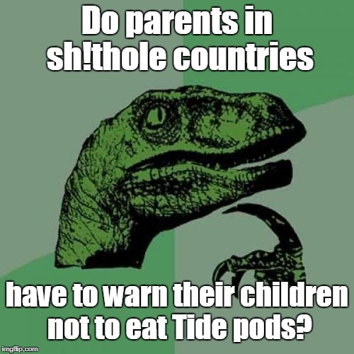 Philosoraptor Meme | Do parents in sh!thole countries; have to warn their children not to eat Tide pods? | image tagged in memes,philosoraptor,shithole,tide pods | made w/ Imgflip meme maker