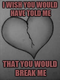 I WISH YOU WOULD HAVE TOLD ME; THAT YOU WOULD BREAK ME | image tagged in love | made w/ Imgflip meme maker