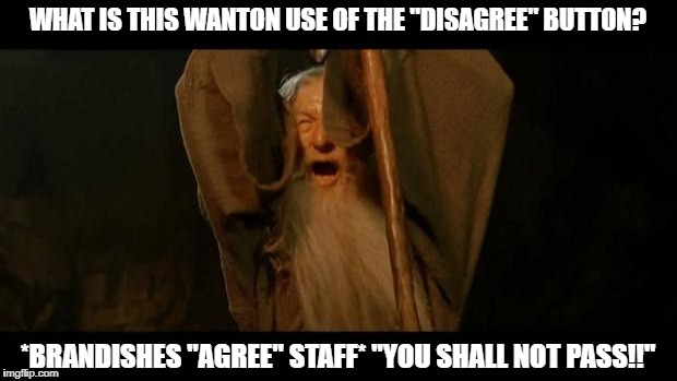 You Shall Not Pass - Gandalf | WHAT IS THIS WANTON USE OF THE "DISAGREE" BUTTON? *BRANDISHES "AGREE" STAFF* "YOU SHALL NOT PASS!!" | image tagged in you shall not pass - gandalf | made w/ Imgflip meme maker