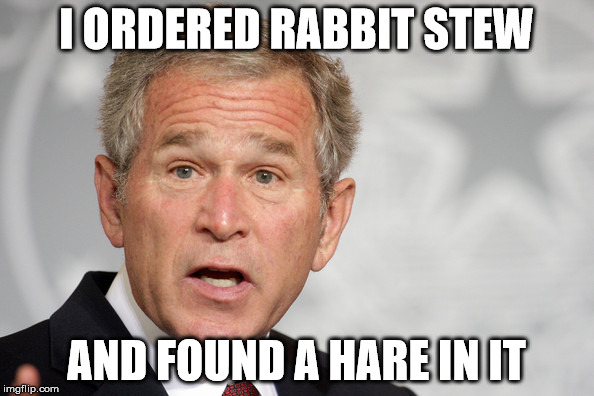 George Bush | I ORDERED RABBIT STEW; AND FOUND A HARE IN IT | image tagged in rabbit,soup,george w bush | made w/ Imgflip meme maker