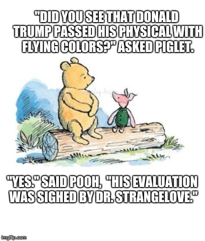 pooh and piglet sitting on a log | "DID YOU SEE THAT DONALD TRUMP PASSED HIS PHYSICAL WITH FLYING COLORS?" ASKED PIGLET. "YES." SAID POOH,  "HIS EVALUATION WAS SIGHED BY DR. STRANGELOVE." | image tagged in pooh and piglet sitting on a log | made w/ Imgflip meme maker