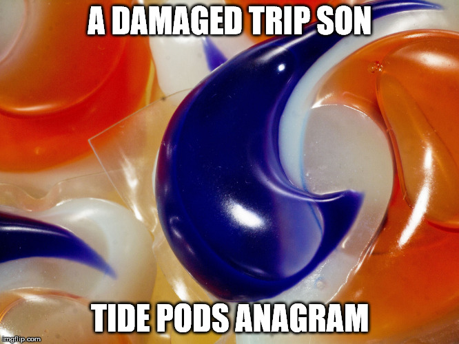 Died Anagram Post | A DAMAGED TRIP SON; TIDE PODS ANAGRAM | image tagged in tide pods,anagrams meme,memes anagramos,origami | made w/ Imgflip meme maker