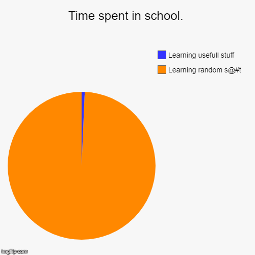 Time spent in school. | Learning random s@#t, Learning usefull stuff | image tagged in funny,pie charts | made w/ Imgflip chart maker