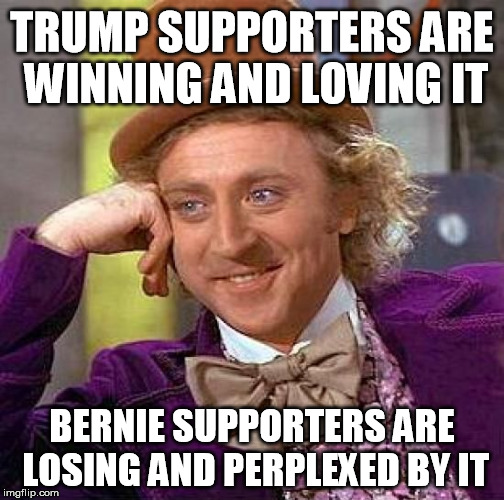Creepy Condescending Wonka Meme | TRUMP SUPPORTERS ARE WINNING AND LOVING IT BERNIE SUPPORTERS ARE LOSING AND PERPLEXED BY IT | image tagged in memes,creepy condescending wonka | made w/ Imgflip meme maker