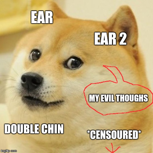 Doge Meme | EAR; EAR 2; MY EVIL THOUGHS; DOUBLE CHIN; *CENSOURED* | image tagged in memes,doge | made w/ Imgflip meme maker