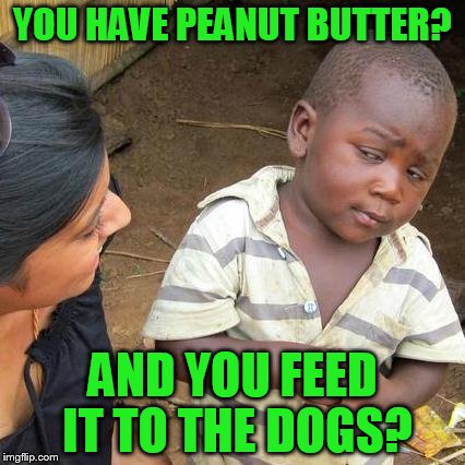 Third World Skeptical Kid Meme | YOU HAVE PEANUT BUTTER? AND YOU FEED IT TO THE DOGS? | image tagged in memes,third world skeptical kid | made w/ Imgflip meme maker