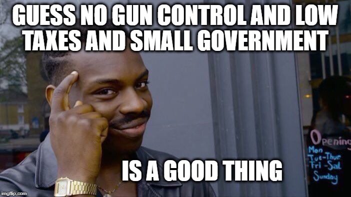 Roll Safe Think About It Meme | GUESS NO GUN CONTROL AND LOW TAXES AND SMALL GOVERNMENT IS A GOOD THING | image tagged in memes,roll safe think about it | made w/ Imgflip meme maker