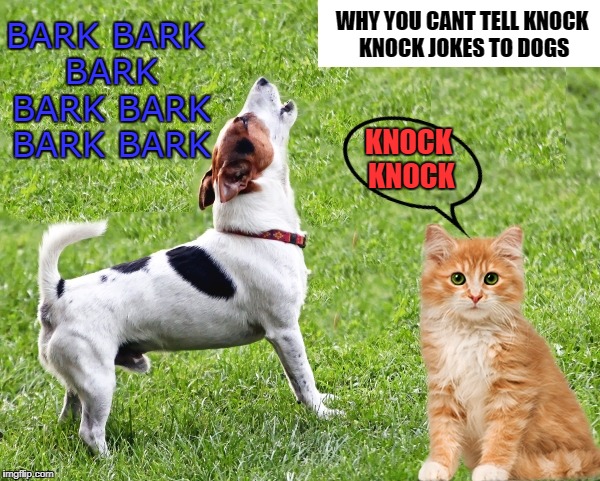why you can't tell knock knock jokes to dogs | BARK BARK BARK BARK BARK BARK BARK; WHY YOU CANT TELL KNOCK KNOCK JOKES TO DOGS; KNOCK KNOCK | image tagged in knock knock dogs | made w/ Imgflip meme maker