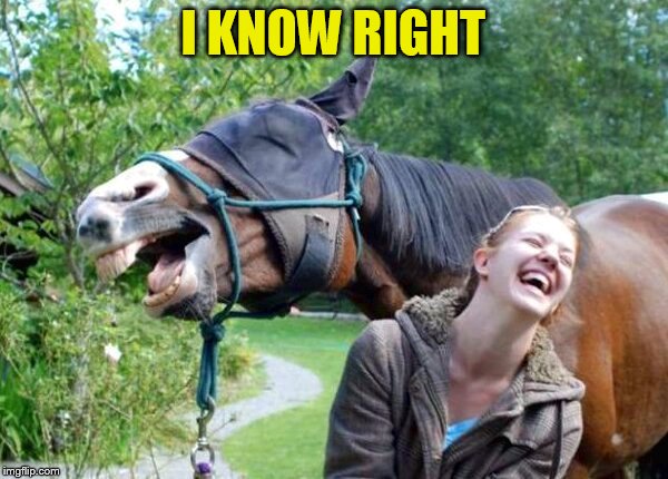 Laughing Horse | I KNOW RIGHT | image tagged in laughing horse | made w/ Imgflip meme maker