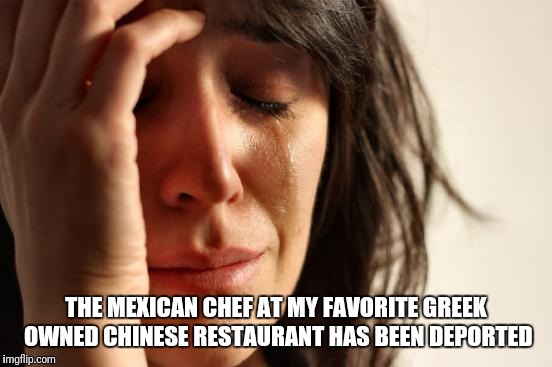 First World Problems Meme | THE MEXICAN CHEF AT MY FAVORITE GREEK OWNED CHINESE RESTAURANT HAS BEEN DEPORTED | image tagged in memes,first world problems | made w/ Imgflip meme maker