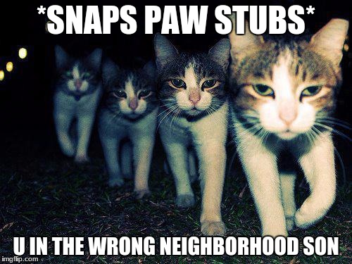 Wrong Neighboorhood Cats Meme | *SNAPS PAW STUBS*; U IN THE WRONG NEIGHBORHOOD SON | image tagged in memes,wrong neighboorhood cats | made w/ Imgflip meme maker