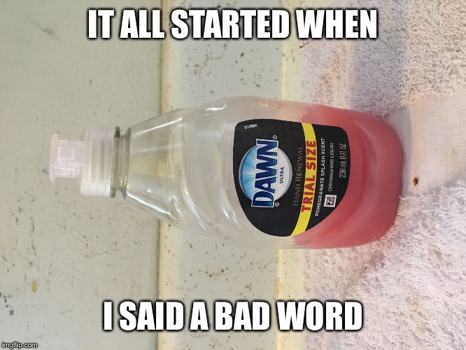 IT ALL STARTED WHEN; I SAID A BAD WORD | image tagged in dawn | made w/ Imgflip meme maker