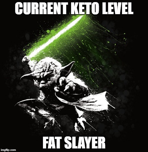  CURRENT KETO LEVEL; FAT SLAYER | image tagged in yoda jedi knight slayer | made w/ Imgflip meme maker