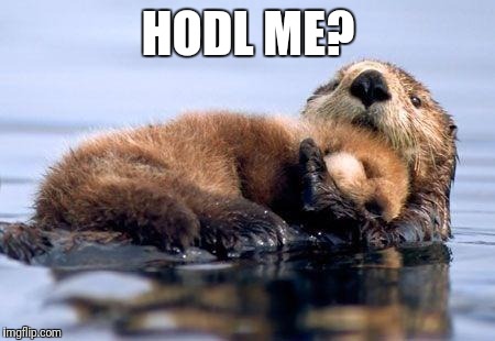 HODL ME? | image tagged in hold me | made w/ Imgflip meme maker