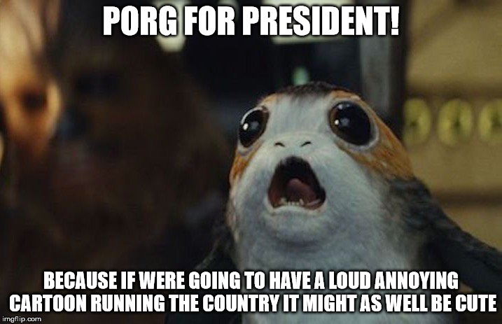 Couldn't be worse than what we've got now | PORG FOR PRESIDENT! BECAUSE IF WERE GOING TO HAVE A LOUD ANNOYING CARTOON RUNNING THE COUNTRY IT MIGHT AS WELL BE CUTE | image tagged in star wars porg,never trump,last jedi | made w/ Imgflip meme maker