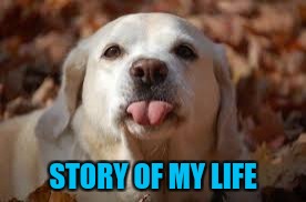 STORY OF MY LIFE | made w/ Imgflip meme maker