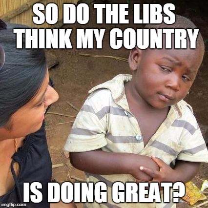 Third World Skeptical Kid | SO DO THE LIBS THINK MY COUNTRY; IS DOING GREAT? | image tagged in memes,third world skeptical kid | made w/ Imgflip meme maker