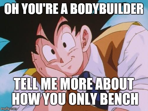 condescending goku | OH YOU'RE A BODYBUILDER; TELL ME MORE ABOUT HOW YOU ONLY BENCH | image tagged in condescending goku | made w/ Imgflip meme maker
