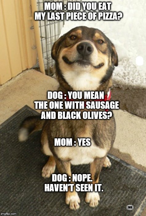 Where is my pizza? | MOM : DID YOU EAT MY LAST PIECE OF PIZZA? DOG : YOU MEAN THE ONE WITH SAUSAGE AND BLACK OLIVES? MOM : YES; DOG : NOPE.  HAVEN'T SEEN IT. JMR | image tagged in dogs,pizza,funny,lies,cute | made w/ Imgflip meme maker