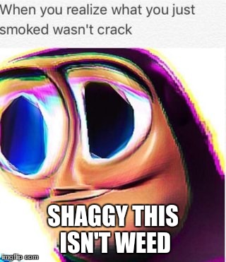 buzz lighter | SHAGGY THIS ISN'T WEED | image tagged in funny memes | made w/ Imgflip meme maker