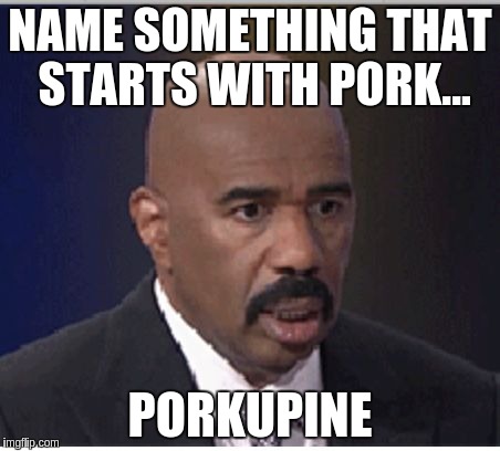 Steve Harvey | NAME SOMETHING THAT STARTS WITH PORK... PORKUPINE | image tagged in steve harvey | made w/ Imgflip meme maker