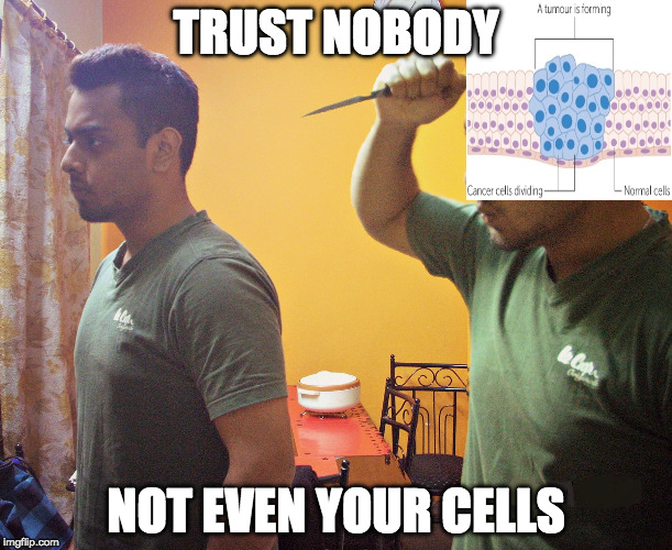Not Even your Cells | TRUST NOBODY; NOT EVEN YOUR CELLS | image tagged in trust nobody not even yourself,cells,cancer,trust nobody,trust nobody not even your cells,memes | made w/ Imgflip meme maker