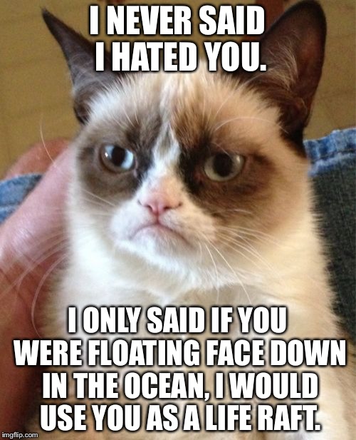 Floating on a body in the ocean | I NEVER SAID I HATED YOU. I ONLY SAID IF YOU WERE FLOATING FACE DOWN IN THE OCEAN, I WOULD USE YOU AS A LIFE RAFT. | image tagged in memes,grumpy cat,ocean,life,haters,water | made w/ Imgflip meme maker