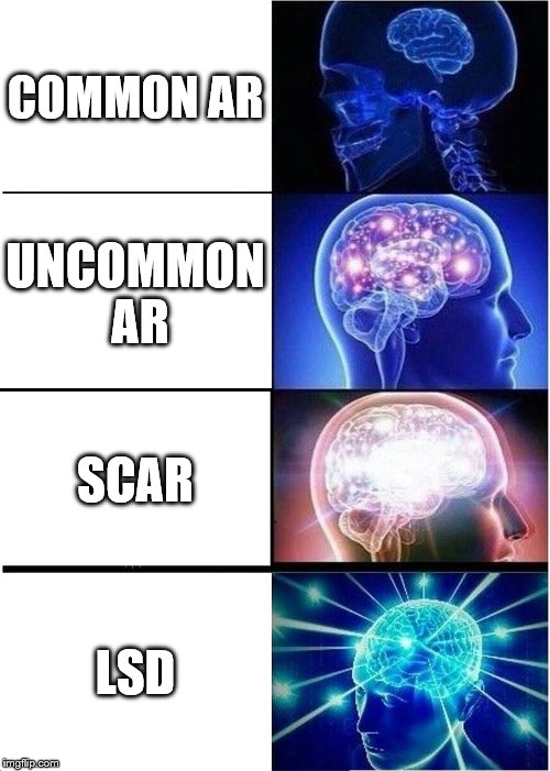 Expanding Brain Meme | COMMON AR; UNCOMMON AR; SCAR; LSD | image tagged in memes,expanding brain | made w/ Imgflip meme maker