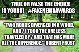 Fork in the road | TRUE OR FALSE THE CHOICE IS YOURS!
   #FAKENEWSAWARDS; "TWO ROADS DIVERGED IN A WOOD, AND / I TOOK THE ONE LESS TRAVELED BY / AND THAT HAS MADE ALL THE DIFFERENCE.'” ROBERT FROST | image tagged in fork in the road | made w/ Imgflip meme maker