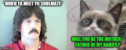 Imgflip Rewind... until I get to the leaderboard, i'll be remaking my old memes |  *WHEN YA MEET YO SOULMATE*; WILL YOU BE THE MOTHER/ FATHER OF MY BABIES? | image tagged in memes,grumpy cats father,grumpy cat | made w/ Imgflip meme maker