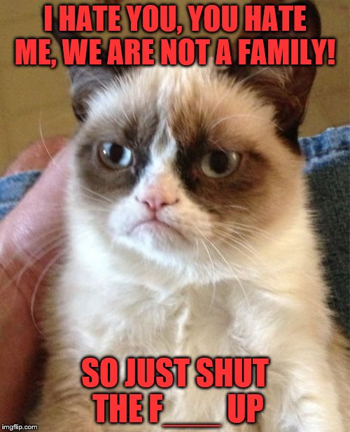The first meme I ever did on Imgflip, redone | I HATE YOU, YOU HATE ME, WE ARE NOT A FAMILY! SO JUST SHUT THE F___ UP | image tagged in memes,grumpy cat,imgflip rewind,buggylememe | made w/ Imgflip meme maker