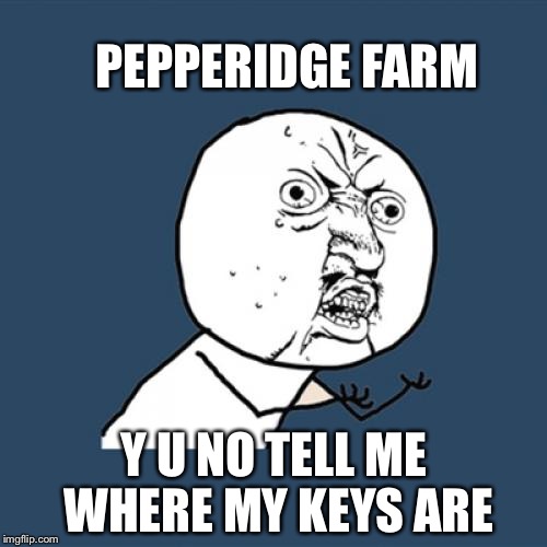 Y U No Meme | PEPPERIDGE FARM Y U NO TELL ME WHERE MY KEYS ARE | image tagged in memes,y u no | made w/ Imgflip meme maker