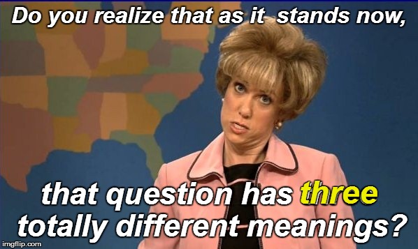 Do you realize that as it  stands now, that question has three totally different meanings? three | made w/ Imgflip meme maker