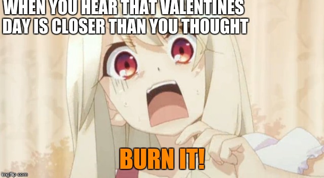 it is coming. and my school already planned a freakin dance for it. shoot me. | WHEN YOU HEAR THAT VALENTINES DAY IS CLOSER THAN YOU THOUGHT; BURN IT! | image tagged in fact of the day,burn | made w/ Imgflip meme maker