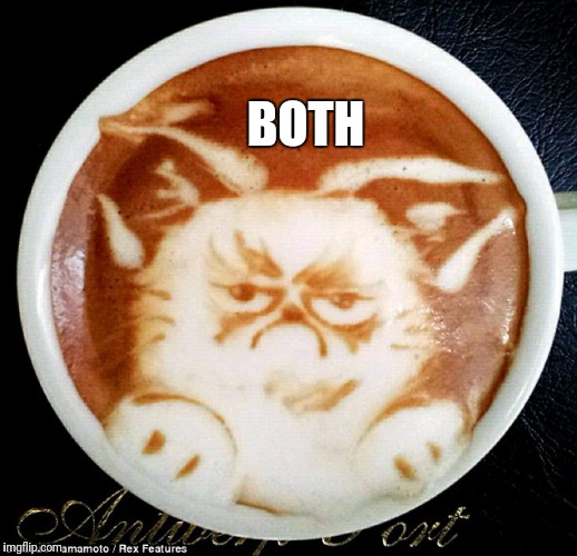 Grumpy Cat Coffee | BOTH | image tagged in grumpy cat coffee | made w/ Imgflip meme maker